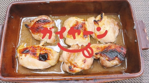 ガイヤーン